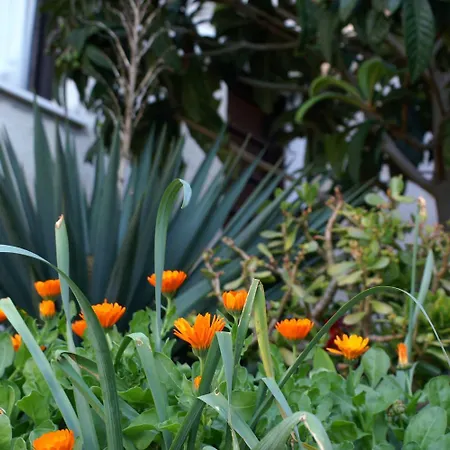 By The Sea Zavalatica, Korcula - 189 * Zavalatica