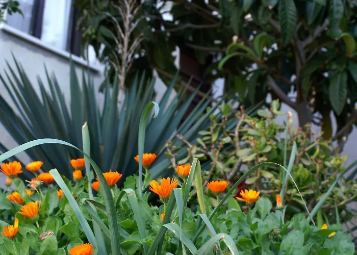 By The Sea Zavalatica, Korcula - 189 * Zavalatica